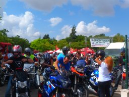 XIX Concentracion - 2012